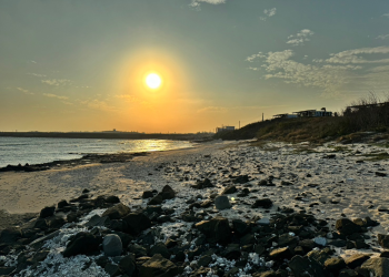 《文化》澎湖為何叫菊島？