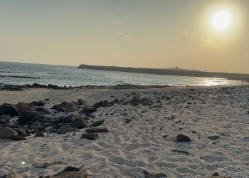 澎湖地方創生  發展地方特色產業 