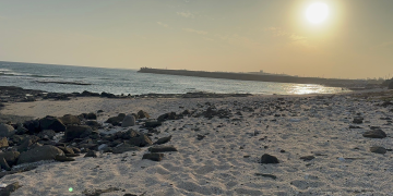 澎湖地方創生  發展地方特色產業 